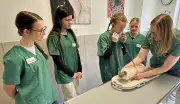 Girls' Day in Zeitz: Schülerinnen als Tierarzthelferinnen