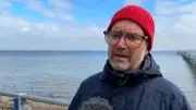 Greenpeace: Gestrandeter Buckelwal Timmy hat kaum Überlebenschancen in der Nordsee
