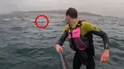 Hai jagt Surfer zehn Minuten lang vor Kalifornien