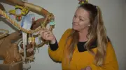 Halsbandsittich Kiki: Der blaue Papagei von Zeitz erobert Herzen und Balkone