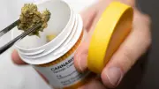 Hamburger Gerichtsurteil: Private Krankenkassen müssen Cannabis-Therapie bezahlen
