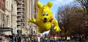 Haribos Goldbären erobern den US-Markt: Weiche Gummibärchen verdrängen Platzhirsche