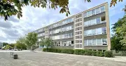 Hetze nach Demo in Dessau: Böllerwürfe und Morddrohungen gegen Schulpersonal