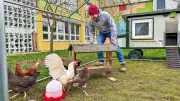 Hühner als Lehrkräfte: Bad Schmiedeberger Sekundarschule startet tierisches Lernprojekt