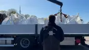 Hochwasser in Wismar: Sandsack-Barriere soll Wal Timmy schützen