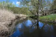 Hochwasseralarm an der Stepenitz: Alarmstufe 2 in der Prignitz ausgerufen