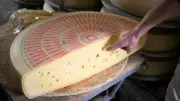 Hofkäsereien in MV öffnen: Käsefest in der Müritz-Region