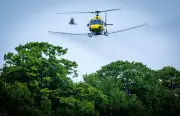 Hubschrauber gegen Eichenprozessionsspinner: Luftangriff auf Raupenplage im Altmarkkreis