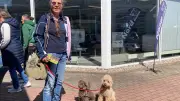 Hund und Auto: Erste Messe in Güstrow für Sicherheit und Fun