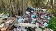 Illegale Müllkippe im Wald bei Schwerin: Bauschutt und Dämmmaterial entsorgt