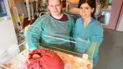 Innovatives Baby-Nest in Halles Geburtsklinik: Mehr Wohlbefinden für Frühchen