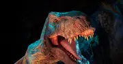 Jurassic World Experience in München: Dino-Safari mit Animatronics in der Kleinen Olympiahalle
