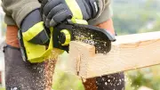 Kettensägen-Vorfall in Karstädt: Autofahrerin erschrickt und kollidiert mit Baum