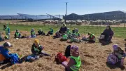 Kita-Projekt: Haßlebener Kinder entdecken Landwirtschaft und Energie