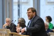 Kosmehl weist AfD-Kritik an Parlamentsreform in Sachsen-Anhalt scharf zurück