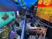 Kriegsheimkehrer in Russland: Zwischen Heldenkult und gesellschaftlichen Ängsten