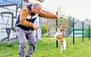 Köthen eröffnet erste Hundewiese: Ausstattung und Regeln
