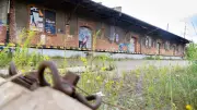 Landesgartenschau 2035 in Schwerin: Kosten von 80 Millionen Euro erwartet