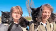 Landshuter führt Maine-Coon-Katzen an der Leine: Ein ungewöhnlicher Gassi-Gang