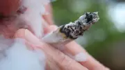 Langzeitstudie: Cannabis bremst bei Jugendlichen die kognitive Entwicklung