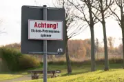 Leipzig testet Fadenwürmer gegen Eichenprozessionsspinner