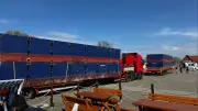 Letzte Rettung für Ostsee-Wal: Private Initiative startet riskante Bergungsaktion vor Poel