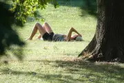 Mai startet mit Sonne und bis zu 27 Grad in Sachsen