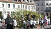 Maibaum-Aufstellen in Perleberg: Frühlingsfest mit Kitakindern