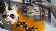 Manuka-Honig-Skandal in Deutschland: Experte warnt vor gefälschtem Neuseeland-Nektar