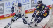 Marcel Brandt verlängert bei den Straubing Tigers: Routinier bleibt dem Club treu