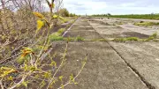 Mega-Projekt am Airpark: Rechenzentrum für Merseburg geplant