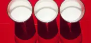 Milchkonsum im Wandel: Wie gesund ist Kuhmilch wirklich?