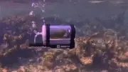 Mini-U-Boot-Tauchgang: Sittich löst Debatte über Tierwohl aus