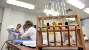 MINT-Kurse an Gymnasien in MV: Rückgang bereitet Sorgen