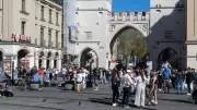Münchner Luxus-Bäume: 95.000 Euro pro Baum - Grünen-OB Krause löst Debatte aus