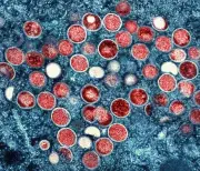 Mpox-Ausbruch in Berlin: Infektionszahlen steigen deutlich - Neue Variante gewinnt an Bedeutung