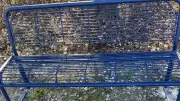 Mysteriöser Diebstahl in Aderstedt: Bank und Mauerteile spurlos verschwunden