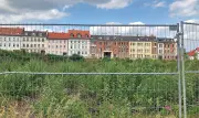 MZ vor Ort in Zeitz: Bürger kritisieren Kleinigkeiten, die das Stadtbild verschandeln