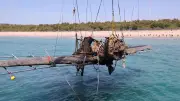 Nach 81 Jahren: Legendäres Kriegsflugzeug aus dem Zweiten Weltkrieg vor Japan geborgen