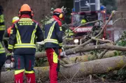Naturgefahren: Fast 12 Mio. Euro Schäden in MV