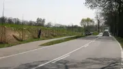 Neue Allee an der B 192 bei Dobbertin mit 222 Bäumen entsteht