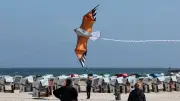 Neue Strandregeln an der Ostsee: Drachensteigen und Hunde ab 1. Mai strenger geregelt