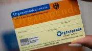 Neue Studie: Einzelnes Verbot blockiert rettende Organspenden in Deutschland