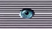 Optische Illusion: Dieser Augen-Trick lässt alles wachsen