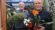 Orchideen-Umtopftag in Schwerin: Experten geben Pflegetipps für exotische Blütenpracht