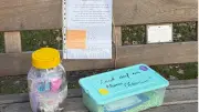 Osterüberraschung in Werder: Heimliche Hasen-Bastler begeistern Dorfgemeinschaft