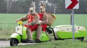 Osterwochenende in Schwerins Umland: Zirkus, Konzerte und Osterfeuer locken