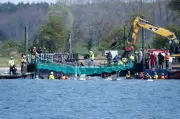 Ostsee-Buckelwal: Chronologie eines dramatischen Schicksals