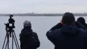Ostsee-Wal-Drama: Warum ein gestrandeter Buckelwal die Nation bewegt
