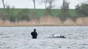 Ostsee-Wal: Meinungen zur Rettungsaktion gehen auseinander